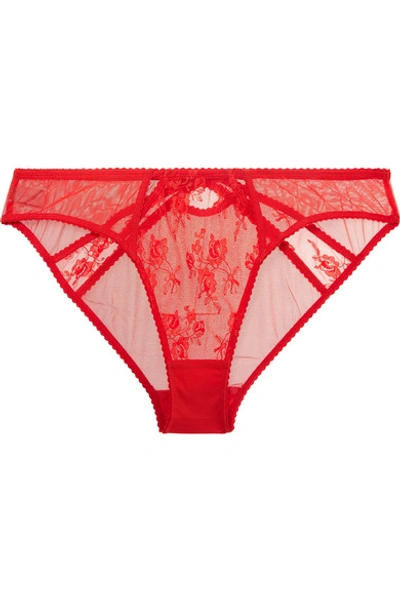 Shop Adina Reay Marni Cutout Embroidered Stretch-tulle Briefs In Tomato Red