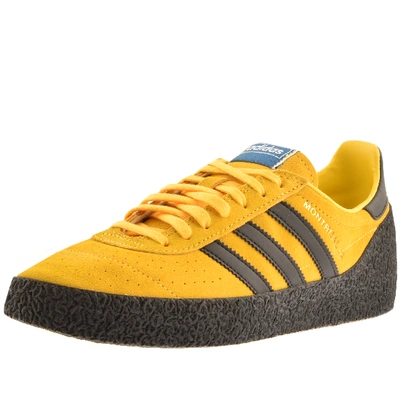 Adidas store montreal yellow