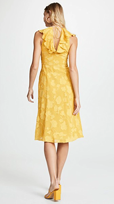 Shop Joie Adella Dress In Antique Moss