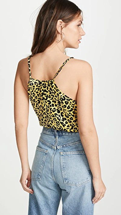 Shop Michelle Mason V Neck Bodysuit In Neon Yellow Leopard