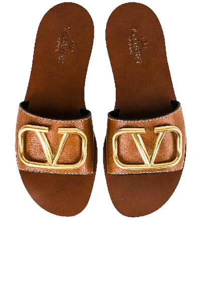 Shop Valentino V Logo Slides In Cuoio