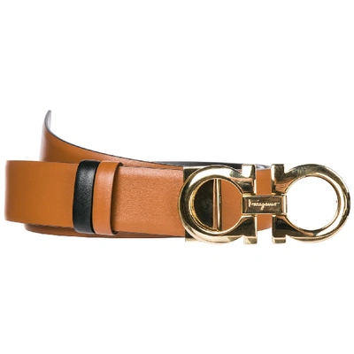 Shop Ferragamo Belt Reversible Double Genuine Leather Gancini In Marrone