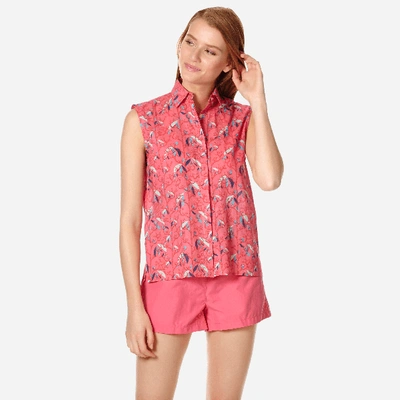 Shop Vilebrequin Women Cotton Voile Shirt Turtles Song In Pink