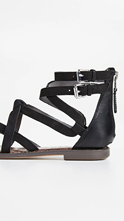 Shop Sam Edelman Gaton Sandals In Black