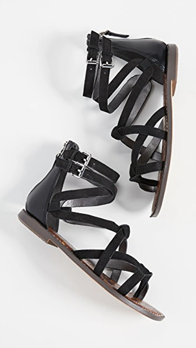 Shop Sam Edelman Gaton Sandals In Black