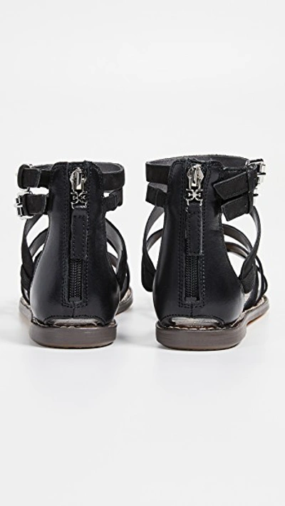 Shop Sam Edelman Gaton Sandals In Black