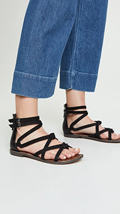 Shop Sam Edelman Gaton Sandals In Black