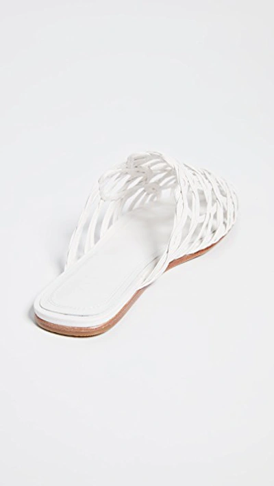 Shop Zimmermann Wave Lattice Slide Sandals In Ivory