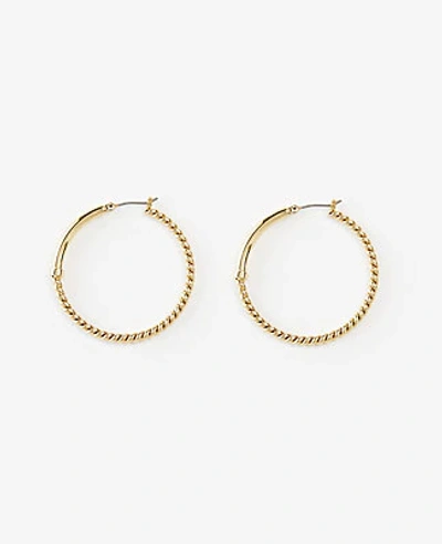 Shop Ann Taylor Roped Hoop Earrings In Gold