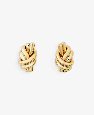 Shop Ann Taylor Twisted Knot Stud Earrings In Gold