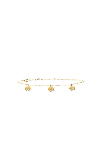 Shop Eight By Gjenmi Jewelry 3 Shell Anklet In Metallic Gold.