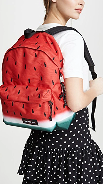 Eastpak Padded Pak'r Backpack In Melted Melon | ModeSens