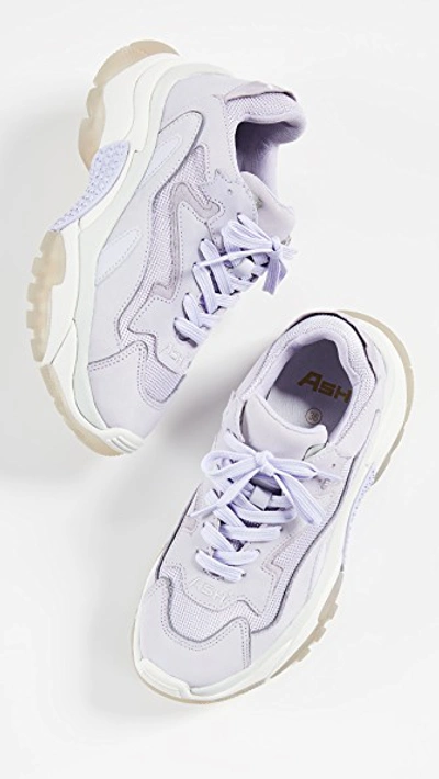 Shop Ash Addict Bis Sneakers In Lavender/dragon Lavender