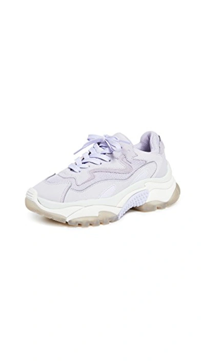 Shop Ash Addict Bis Sneakers In Lavender/dragon Lavender