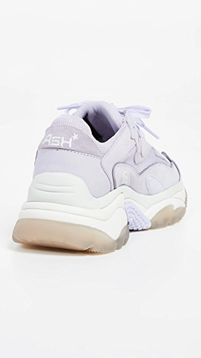 Shop Ash Addict Bis Sneakers In Lavender/dragon Lavender