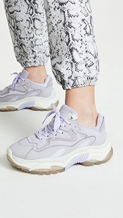 Shop Ash Addict Bis Sneakers In Lavender/dragon Lavender