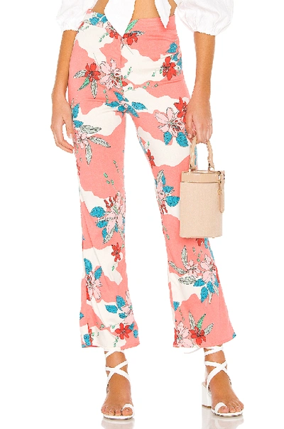 Shop Amuse Society Kori High Waisted Pant In Guava