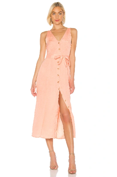 Shop Amuse Society Driftwood Sleeveless Dress In Peach
