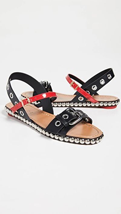 Shop Marni Studded Flat Buckle Sandals In Black