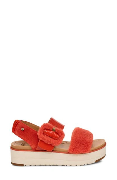 Shop Ugg Le Fluff Flatform Sandal In Red Rock Suede