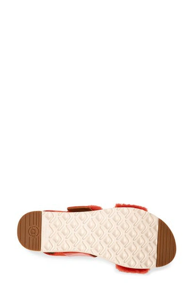 Shop Ugg Le Fluff Flatform Sandal In Red Rock Suede