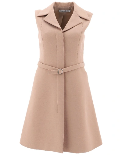 Shop Dior Sleeveless Flared Dress In Pink