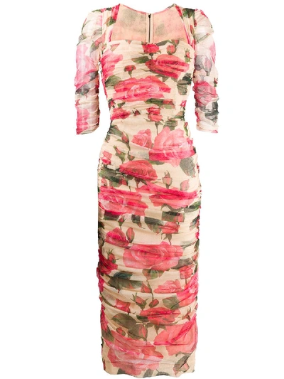 Shop Dolce & Gabbana Rose Print Midi Dress - Neutrals