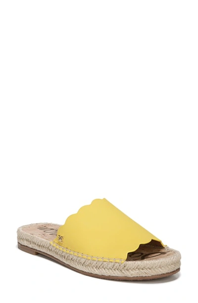 Shop Sam Edelman Andy Slide Sandal In Lemon Zest