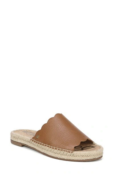 Shop Sam Edelman Andy Slide Sandal In Saddle Brown