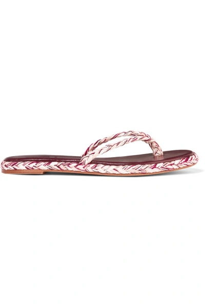 Shop Antolina Boe Braided Cotton Flip Flops In Burgundy