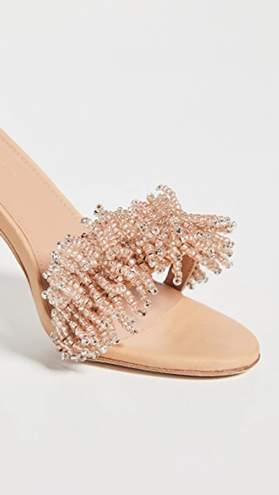 Shop Ulla Johnson Zuzu Heel Sandals In Copper