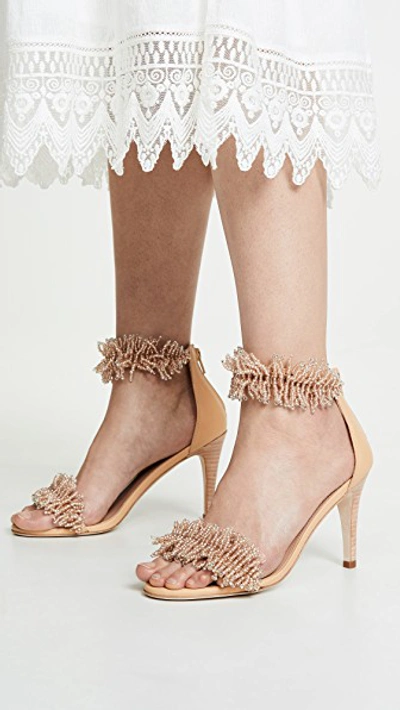 Shop Ulla Johnson Zuzu Heel Sandals In Copper