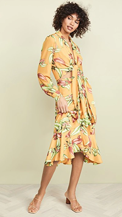 Shop Patbo Zebrina Print Wrap Skirt In Yellow
