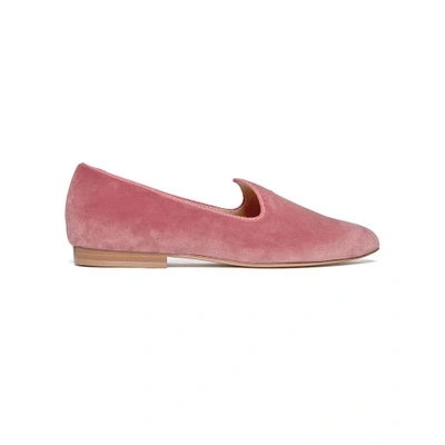 Shop Le Monde Beryl Blush Pink Velvet Venetian Slipper