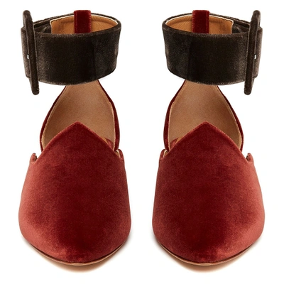 Shop Le Monde Beryl Brick & Mole Grey Velvet Ankle Strap Slipper In Brick And Mole Grey