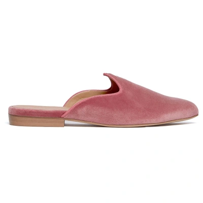 Shop Le Monde Beryl Blush Pink Velvet Venetian Mule