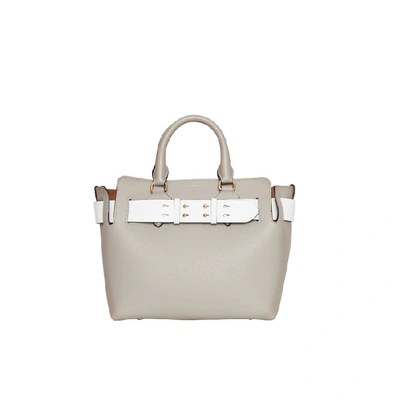 Shop Burberry The Small Tri-tone Leather Belt Bag In Mineral Grey