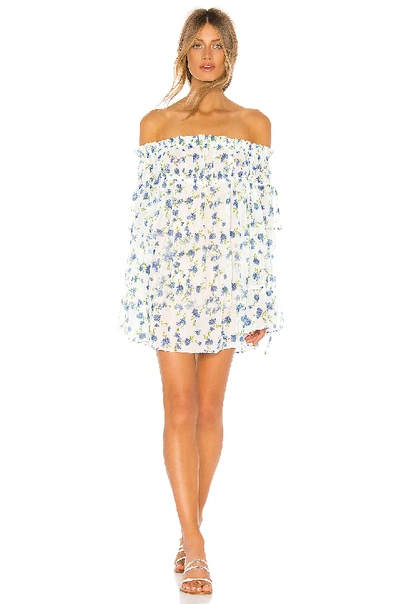 Shop Tularosa Brogan Mini Dress In Forget Me Not Floral