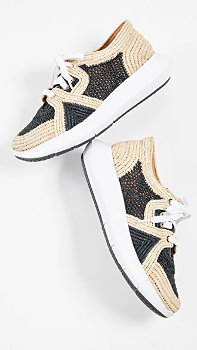 Shop Clergerie Aero Sneakers In Noir/natural