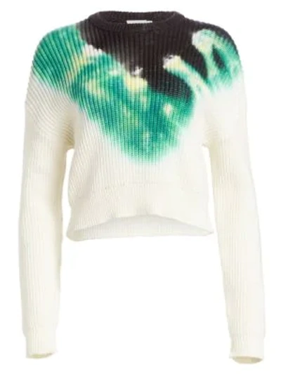 Shop A.l.c Elinor Tie-dye Jumper In Green / Black