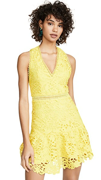 Shop Alice And Olivia Marleen Gathered Fit Flare Dress In Sun