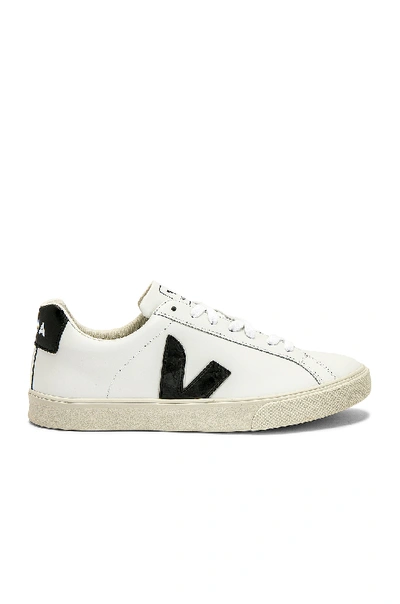 Shop Veja Esplar Sneaker In White & Black