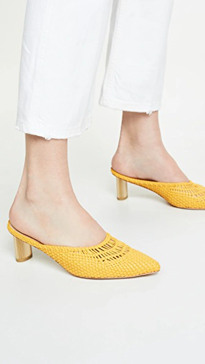 Shop Cult Gaia Della Mules In Marigold