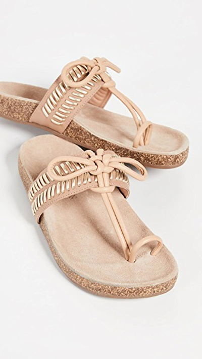 Shop Ulla Johnson Jini Flip Flops In Gold