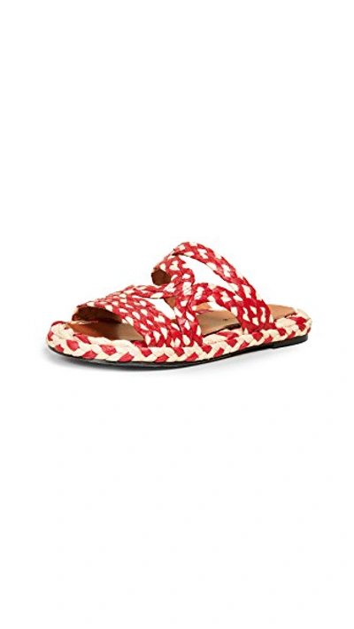 Shop Clergerie Aura Sandals In Hibiscus Raffia Multi