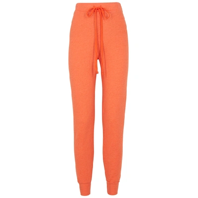 Shop Wildfox Jack Orange Jersey Sweatpants