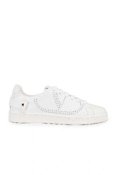 Shop Valentino Net Sneaker In White In Bianco Ottico