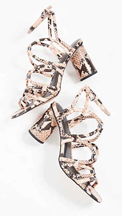 Shop Rebecca Minkoff Apolline Too Strappy Sandals In Rosewood