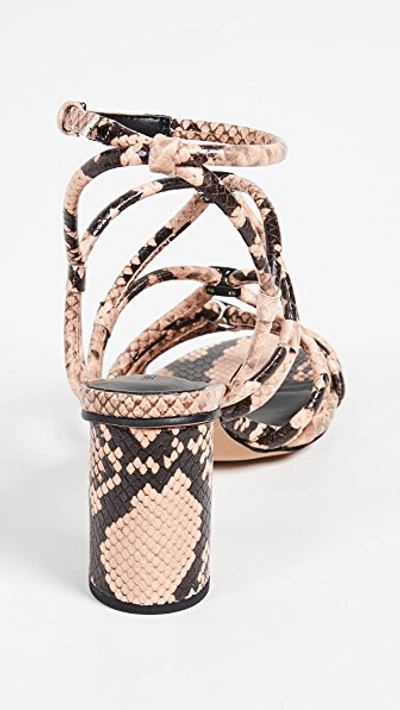 Shop Rebecca Minkoff Apolline Too Strappy Sandals In Rosewood