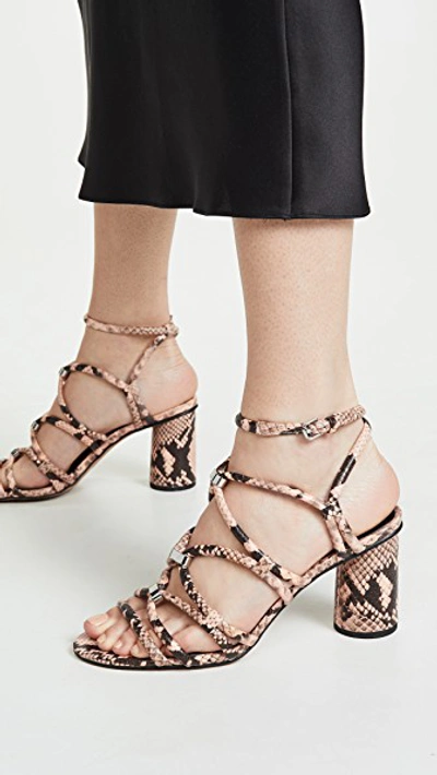 Shop Rebecca Minkoff Apolline Too Strappy Sandals In Rosewood
